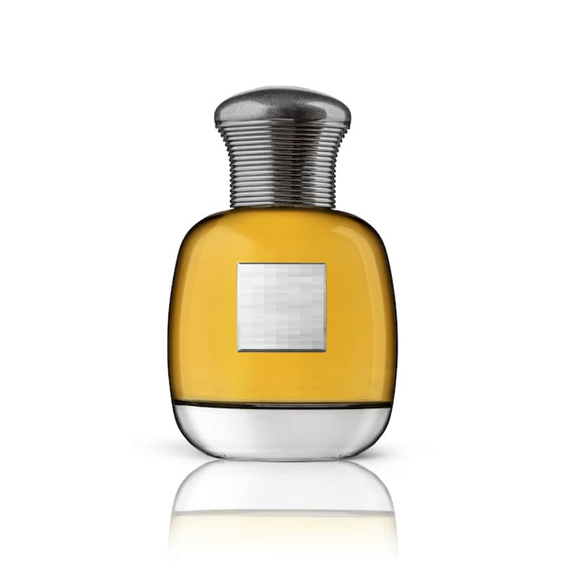 Papillon Rouge White Amiral