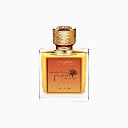 Memo Lost in the Desert Memoirs Of A