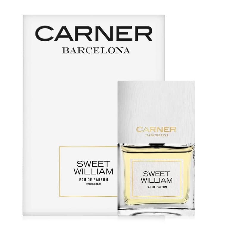 Carner Sweet William