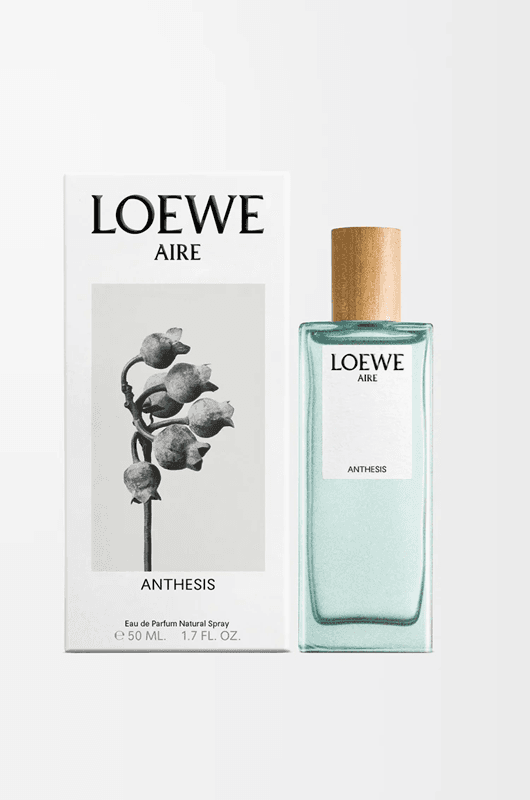 Loewe Aire Anthesis