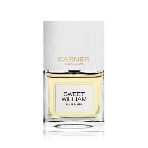 Barcelona Street Sweet William Garner Barcelona