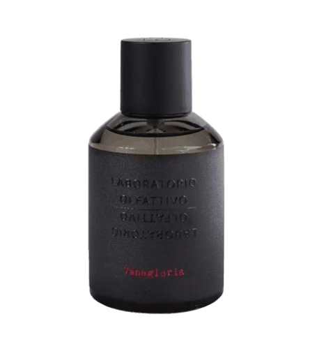 Olfativ Laboratory عطر فانقلوريا من لابوراتوريو ادو بارفيوم 100 مل