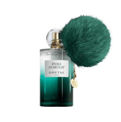 Annick Goutal عطر انك جوتال تويلي دي يون نوي نسائي 100مل