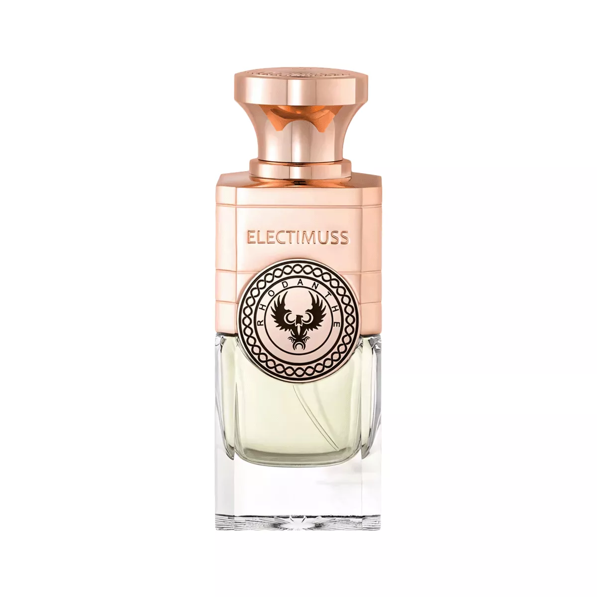 Electimuss Rhodanthe