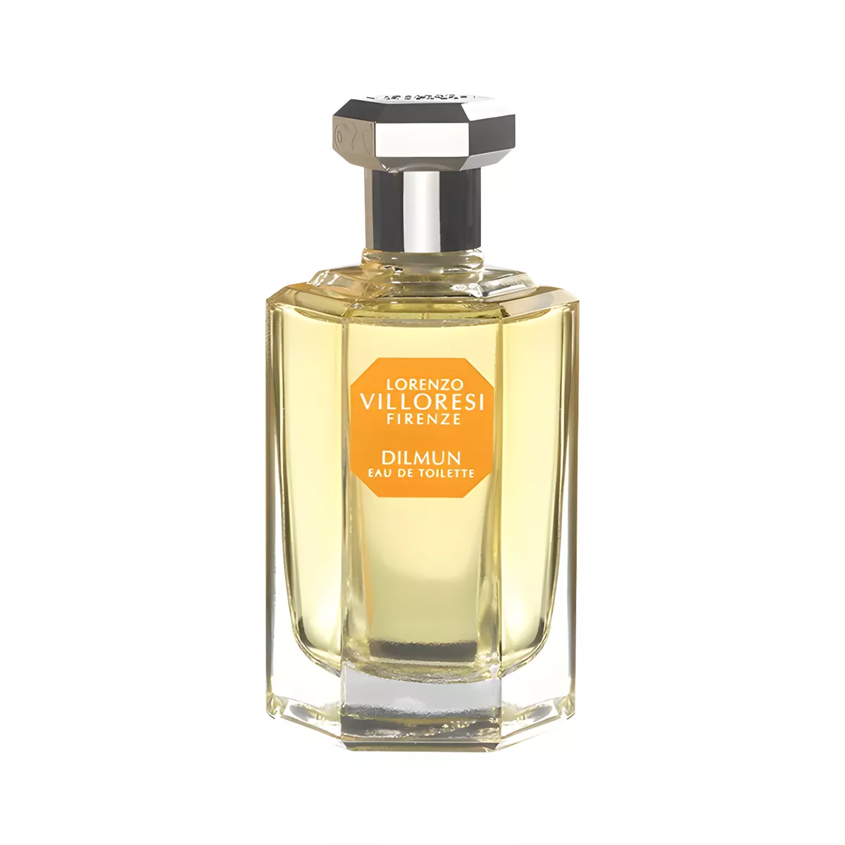 Lorenzo Villoresi Dilmun