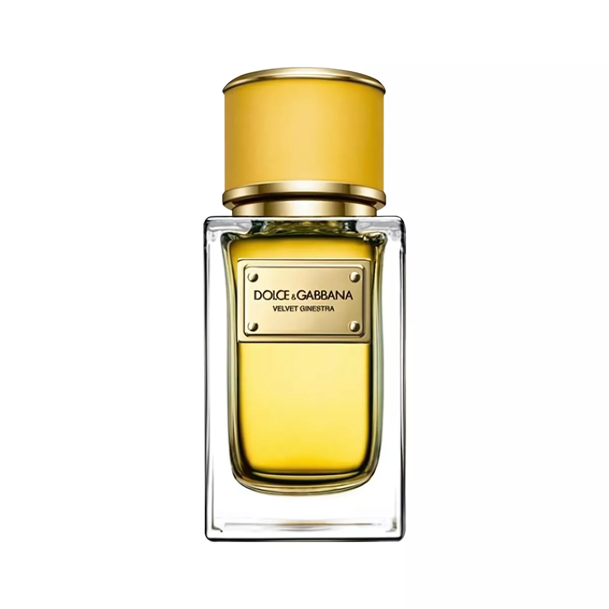 Dolce & Gabbana Velvet Ginestra